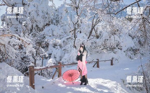 Neko薇薇带你赏美图：雪夜写真，冷冷的却很暖心