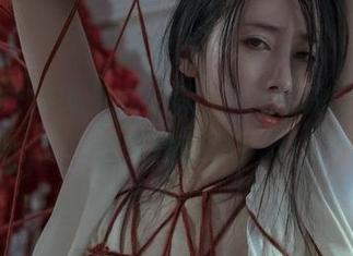 岛田云溪的无圣光合集，2B又成宝藏了，快来找我吧！